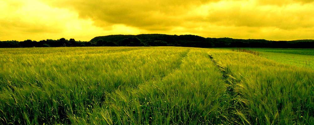 Согласитесь, Согласитесь,