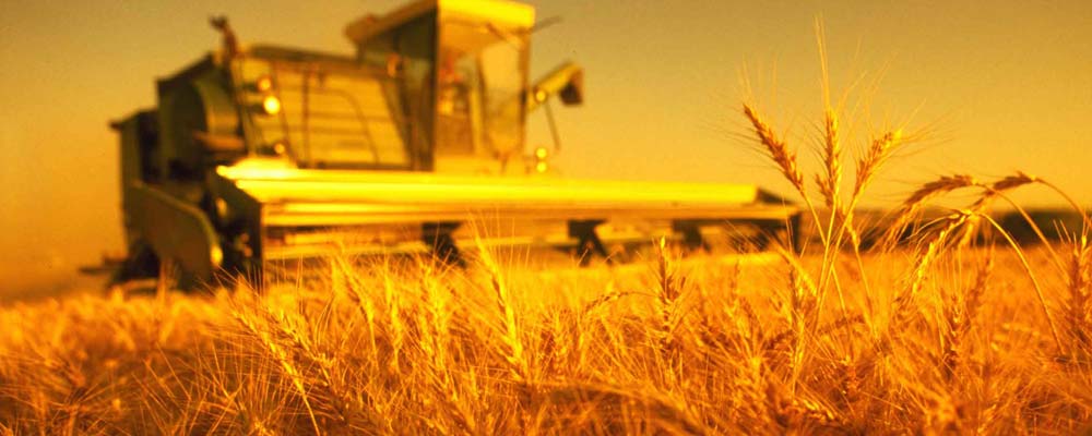 Деятельность нашей компании Деятельность нашей компании