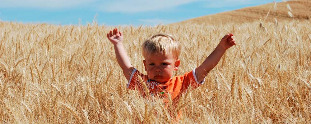 О будущем О будущем