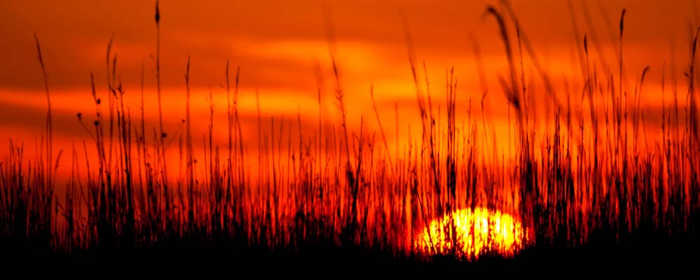 И всегда заботимся И всегда заботимся